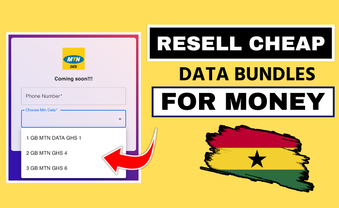 DATA RESELLING BUSINESS BLUEPRINT (Make Money Online)